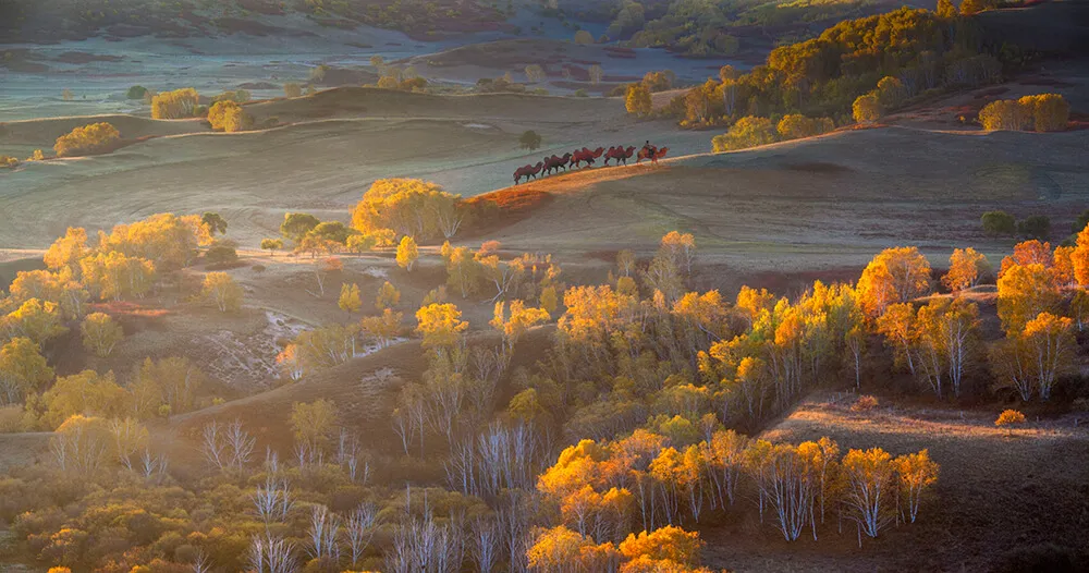 Inner Mongolia Photo Tours
