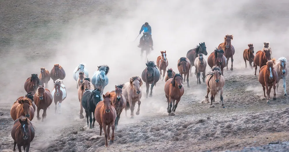 Inner Mongolia Photo Tours