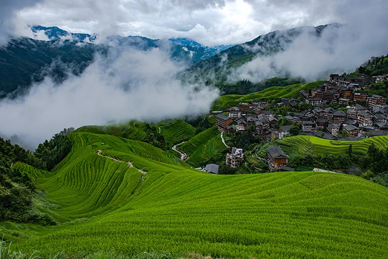 Guilin Longji Rice Terraces Photography in August