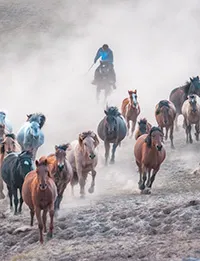 Top Photography Destinations in China